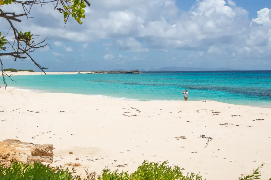 Person walking on an empty beach on Dog Island about to snorkel