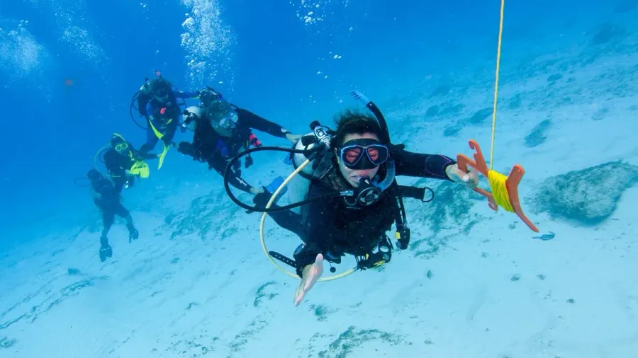 Diver underwater with fish