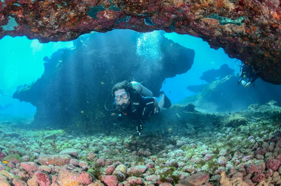 Diver underwater with fish