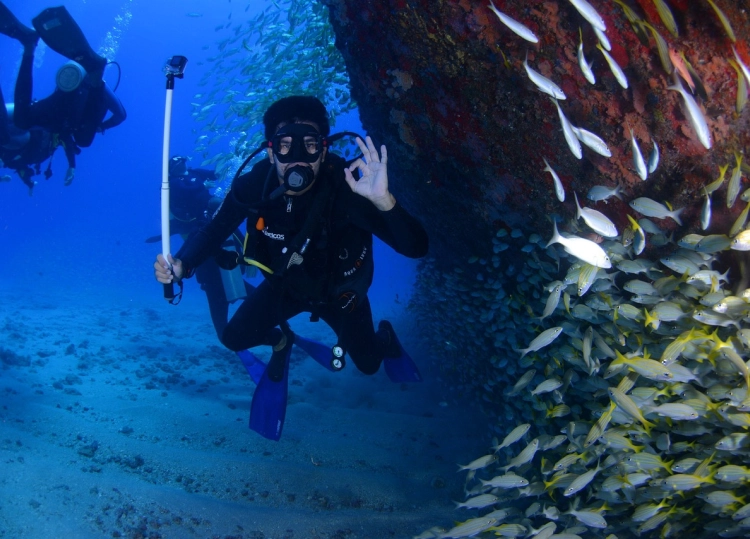 Diver giving OK sign