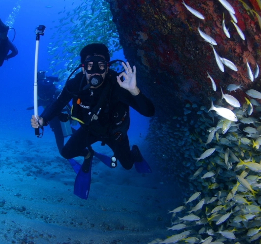 Diver underwater with fish