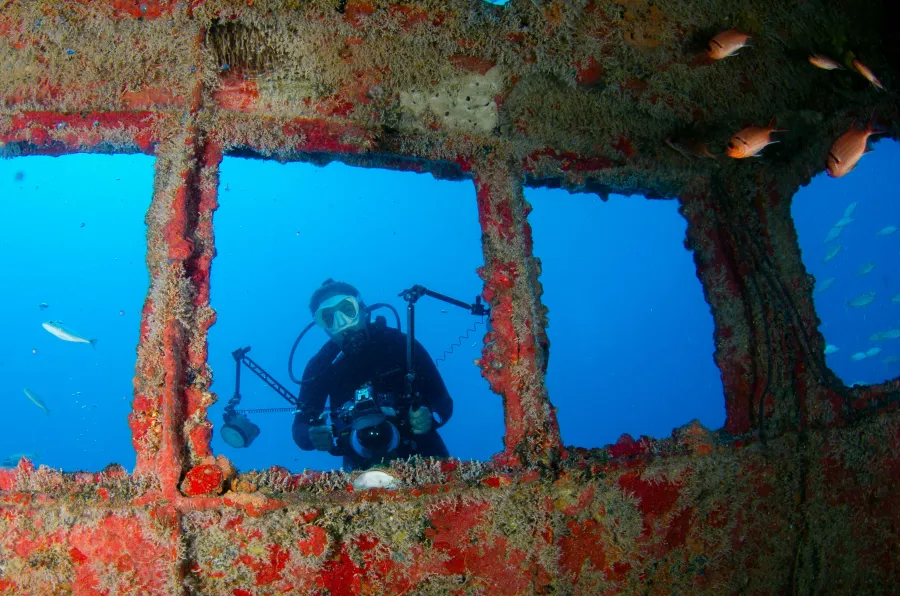 Diver underwater with fish